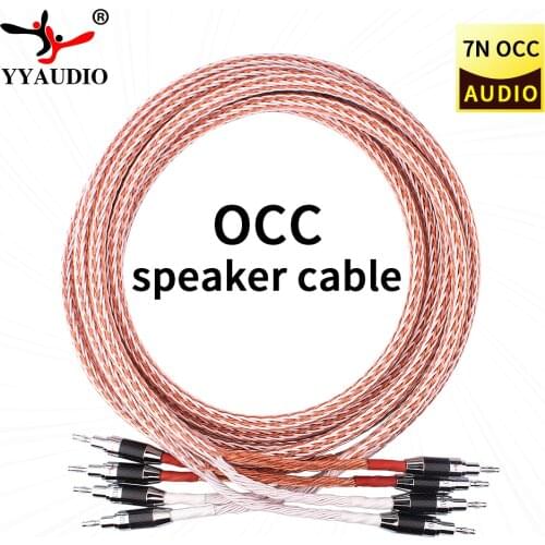 YYAUDIO One pair 12TC Hifi Speaker Cable With 2 Banana Plug to 2 Banana Jack Hi-end OCC Speaker Wire
