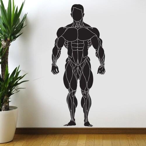 Gym Sticker Fitness Decal Body-building Posters Vinyl Wall Decals Pegatina Quadro Parede Decor Mural Gym Sticker JSL049