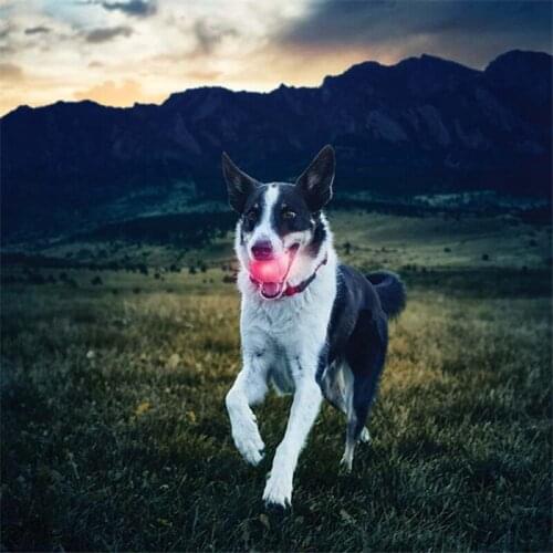 Pet Dog Interactive Squeak Ball Toys with Light Pet Training Elastic Ball Toy Durable Chew Play Ball Toys Powered with Battery