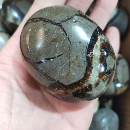 1pcs Natural Stone Crystal Septarium Polished Unique Meditation Chakra Home Decoration Gift septarium Palm Stone
