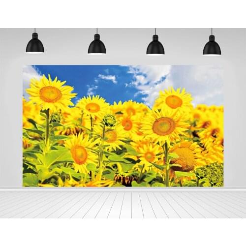 Scopiso Sunflower Field In Sunny Day Landscape Photographic Backdrops for Photo Studio Decoration Props Photography Backgrounds