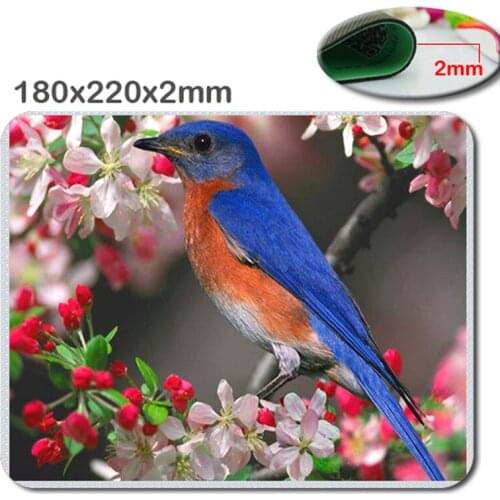 Beautiful bird wallpaper Gaming Gamer Mice Mause Mouse Pad New Rubber Pad220x180x2mm Cool Non-slip and Durable Mouse Pad