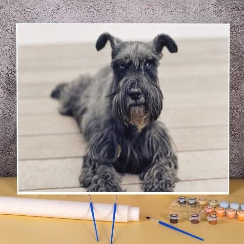 Animal Dog Schnauzer Paint By Numbers Kit Oil Paints 40*50 Picture By Numbers Photo Handmade Children Handiwork Drawing