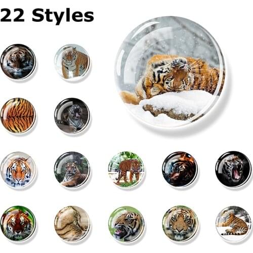 Tiger Art Fridge Magnets for Refrigerators Sticker Message Board Magnetic Creative 30mm Glass Cabochon Home Decor Gift for Son