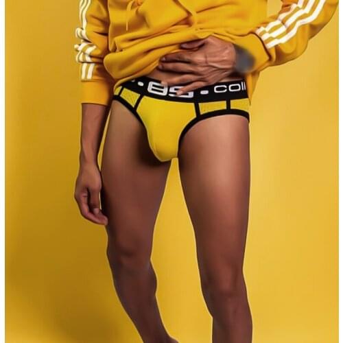 0850 Brand Comfortable Men Underwear Briefs U Convex Cuecas Breathable Mesh Man Underpants Cotton Low Waist Sexy Mens Panties