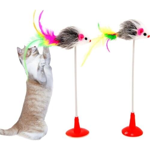 1pc Cat Toy Funny Interactive Suction Spring Cat Toy Cat Feather Wand Cat Teaser Pet Supplies Cat Favor Random Color Hot Sale
