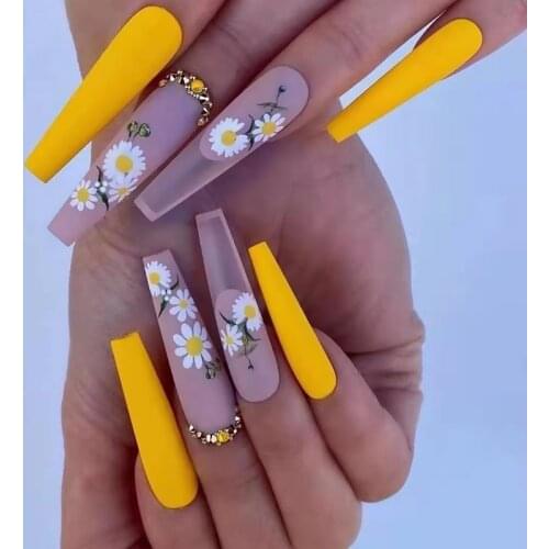 STAR TREE Materials For Nail Extension