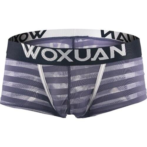 Men Shiny Breatherable Boxer U Convex Pouch Shorts Stripe Sheer See Through Boxers Underwear Gay Wear Underpants Plus Size F12