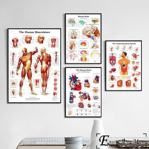 Human Body Anatomy System Posters And Prints Canvas Painting Pictures On The Wall Hospital Chart Decorative Home Decor Affiche