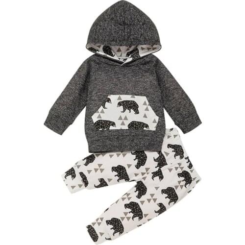 Autumn Babys Set Boy Bear Printed Long Sleeve Hooded Sweatshirt +Pants Newborn Baby Clothes Suits Infant Spring Sport Outfits