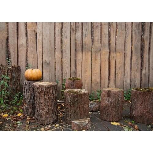 Stumps Wooden Wall Pumpkin Autumn Photography Backgrounds Vinyl Backdrop for Children Baby Halloween Party Photocall Fond Photo
