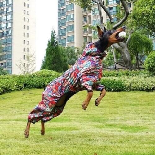 Dog Toy Elastic Solid Foam Molar Interactive Training Toy Ball Dogs Pet Toys Balls Training Dog Waterproof Molar Toys Chew Toys