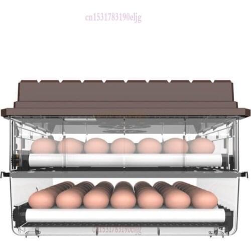 Incubator Small Household Incubator Full Automatic Intelligent Incubator Water Bed Chicken Duck Goose Egg Pigeon Parrot Egg