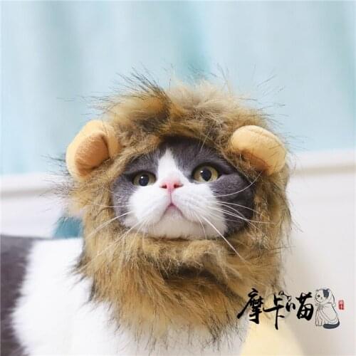 Moka, king of the jungle, pet cat, lion headgear, pet dog hat, lion wig, transforming hat