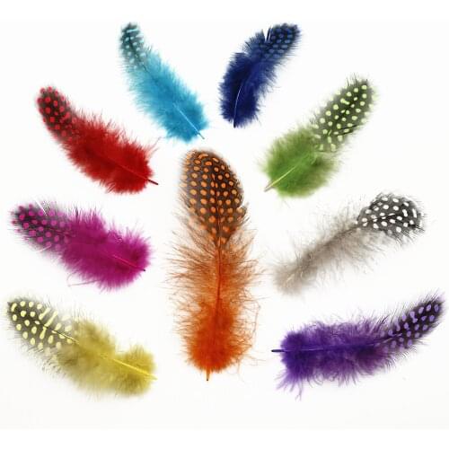 Plumes 4.5-8cm Dyed Color Real Natural Pearl Chicken Pheasnt Plumage Feathers for Mask Jewelry Dress Making Craft Decoration