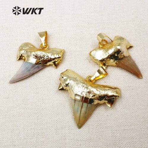 WT-P855Raw shark tooth pendant jewelry gold trim shark tooth pendant for necklace making wkt new models shark tooth pendant