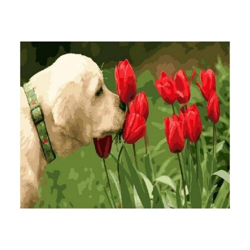 Dog smell Aroma of Tulips Pictures By Numbers On Canvas DIY Elegant Digital Oil Painting Coloring By Numbers Home Decor Art Gift