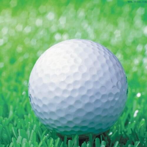 50pieces Modern Unique One Piece Golf Balls with Free Shipping