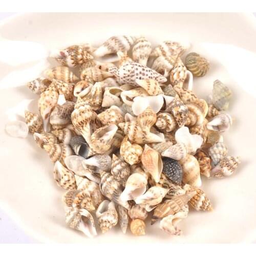 100Pcs Leopard Print Seashell DIY Glass Bottle Fish Tank For DIY Accessories Home Beach Decor Natural Stripe Spiral Shell 7-10mm