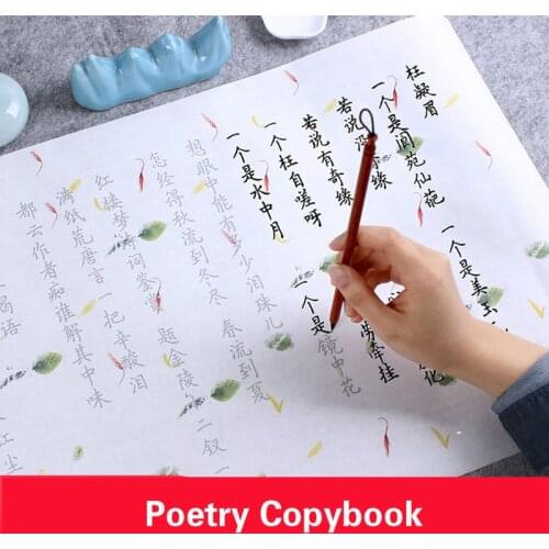 Poem Copybook Beginner Calligraphy Practice Half-Ripe Xuan Paper with Flowers Copybook Children Chinese Regular Script Copybook