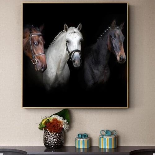 Black And White Horses Posters And Prints Modern Animals Canvas Paintings On The Wall Art Canvas Pictures For Living Room Decor
