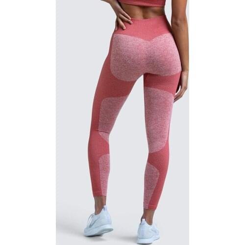 Shark Seamless Leggings Women Fitness High Waist Yoga Pants Push Up Scrunch Butt Sport Leggings Gym Tights Sports Wear