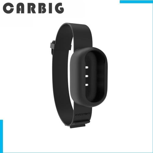 Camera Strap Silicone Protective Cover Wristband Palm Backpack Stripe Bicycle Strap Cat Collar for Insta360 GO 2