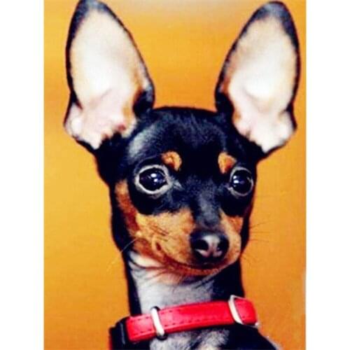 Animal Dog DIY 11CT Embroidery Cross Stitch Kits Needlework Craft Set Cotton Thread Printed Canvas Home Decoration Dropshipping