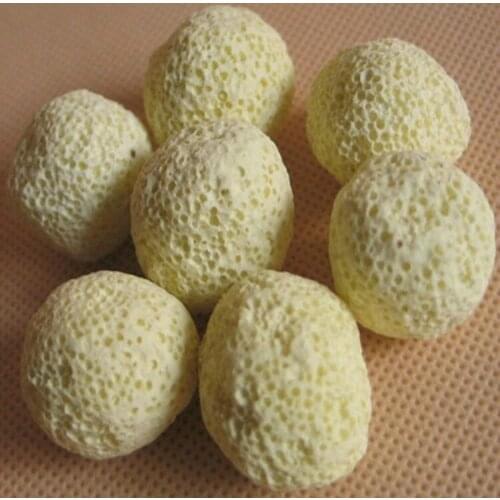 Free Shipping 500PCS Nano Bacteria Beads Ball Far Infrared Bacteria House Aquarium Tank Fish Tank Filter Material