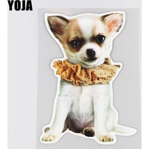YOJA 14.4×20.1CM Cute Chihuahua Animal Car Sticker Scratch Occlusion Funny Cartoon Decals 19B-0059