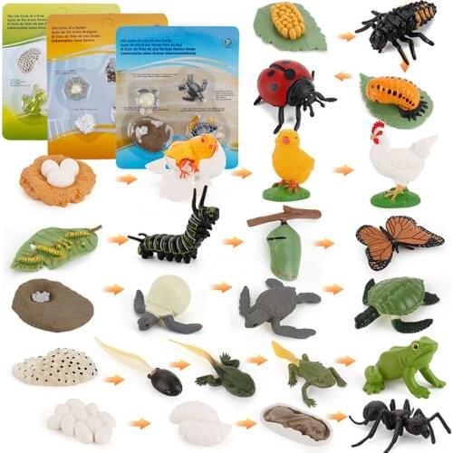 11 childrens educational simulation animal and insect growth/growth cycle model toys