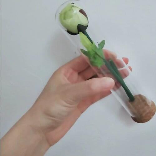 Free Shipping 4sets/pack 3.7*18cm Tube Shped Cork Base Glass Dome Home Decoration Dry Flower Storage Bottle DIY Cover Vase