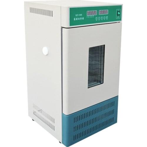 Mold Bacterial Incubator Microorganism Constant Temperature Efficient Precision Temperature Control Stainless Steel Incubator