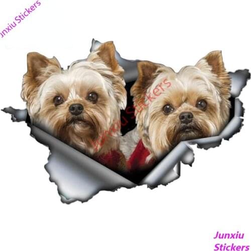 Funny Yorkies Pair Car Sticker Torn Metal Pet Dog Decal for Bumper Camper Decor Motorcycle SUV Fine Decal Graphic PVC13x9cm