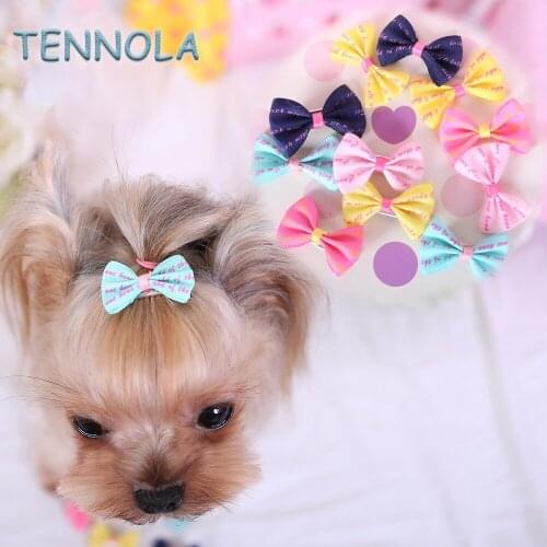 TENNOLA Dog Accessories