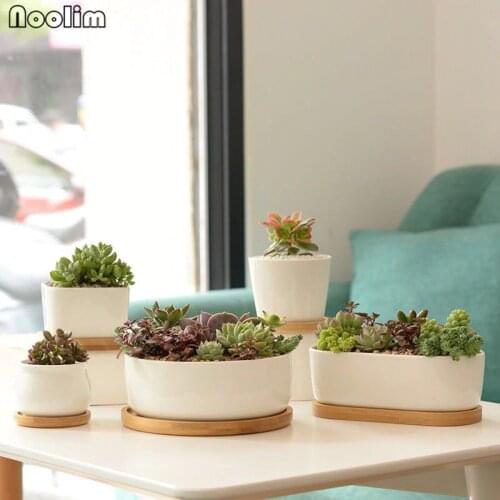 Pure White Porcelain Succulents Green Plant Flower Pots With Wooden Base Creative Concise Tabletop Vase