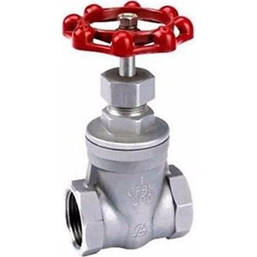 DN20 3/4" BSP Female Thread 304 Stainless Steel Gate Valve oil water air 229 PSI