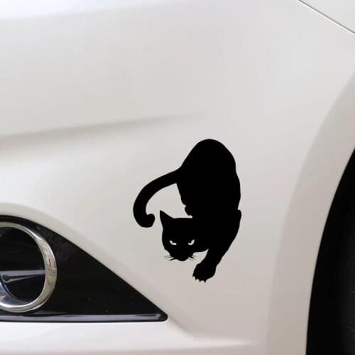 12*16CM PET CAT Car Stickers Decals Motorcycle Accessories Car Styling