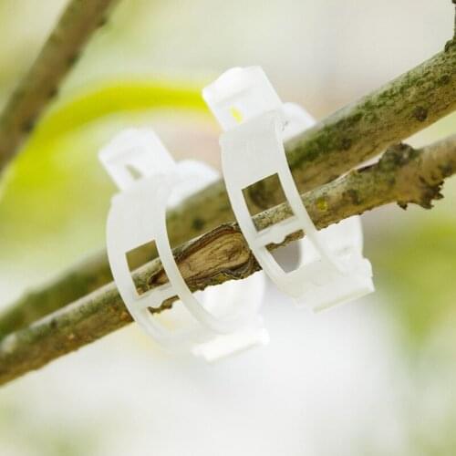 50/100pcs 30mm Plastic Plant Support Clips For Tomato Hanging Trellis Vine Connects Plants Greenhouse Vegetables Garden Ornament