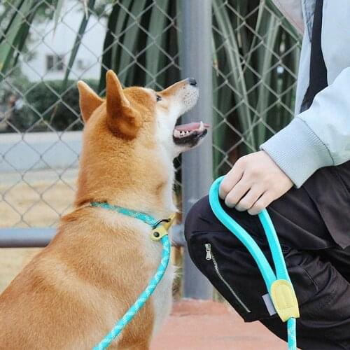 Reflective Slip Rope Dog Leash Adjustable Lead Leash Heavy Duty Braided Rope Loop Collar Training Leashes for Medium Large Dogs