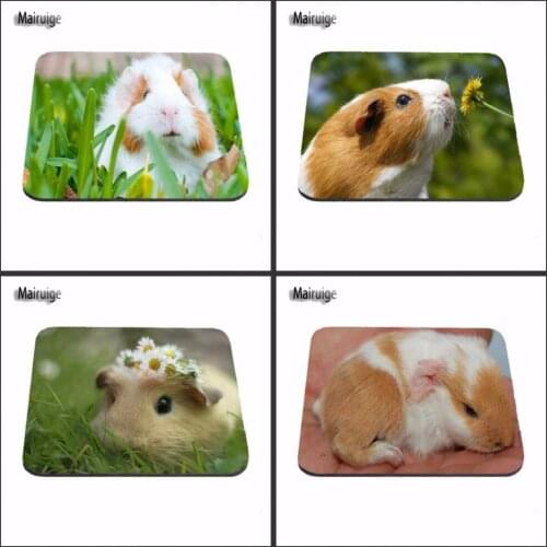 Animal Cute Guinea Pig Game Vintage Stylish Mouse Pad Gaming Rectangle Mousepad 22x18cm And 25x20cm And 25x29cm As Boys