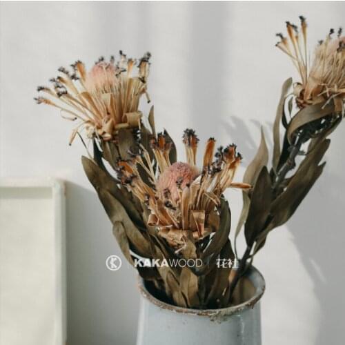 South Africa Imported Nordic Ins Natural Dry Bouquet High-End Flower Arrangement with White Princess Home Soft Decorations