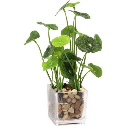 Ornament Artificial Plant Four Leaf Clover Real Touch Natural Pot Grass Home Office Desktop Decoration Simulation Ornaments