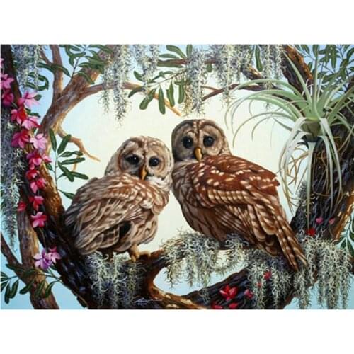 5d diy diamond painting cross stitch Animal Tow Owl Stickers round drill full diamond embroidery pattern home decor