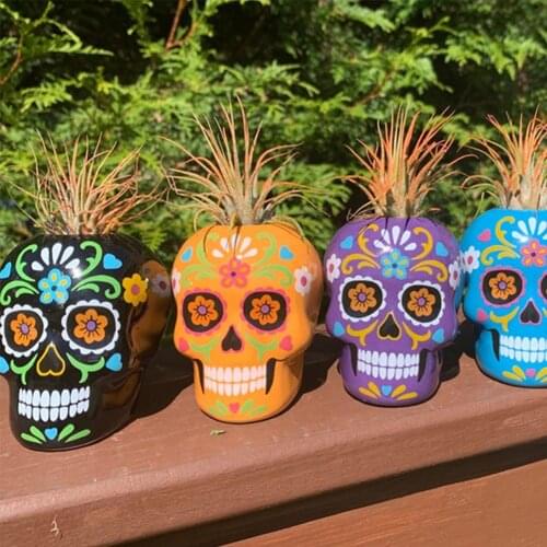 Resin Flower Succulents Pot Skull Planter Suger Holder Skeleton Flowerpot Candy Bowl Halloween Dish Statue Sculpture Skeleton