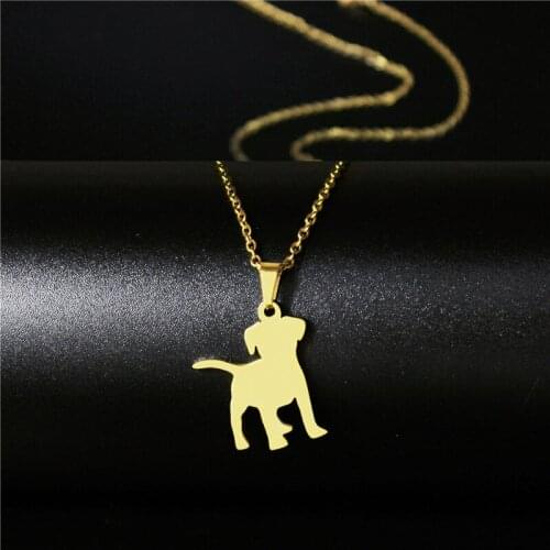 Pet Puppy Necklace European and American Titanium Steel Pendant Tide Girl Hip Hop Stainless Steel Necklace Dog Pendant