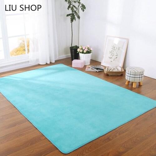 LIU Thick coral velvet carpeted floor living room sofa cushion bathroom bedroom windows kitchen mats yoga rug can be customized