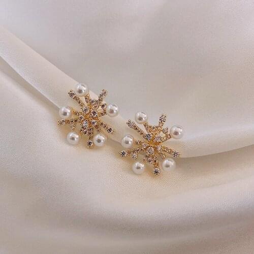 Punk Girl Earrings 2020 Fashion New Temperament Earrings Net Red Pearl Crystal Flower Earrings Womens Wholesale Ohrringe