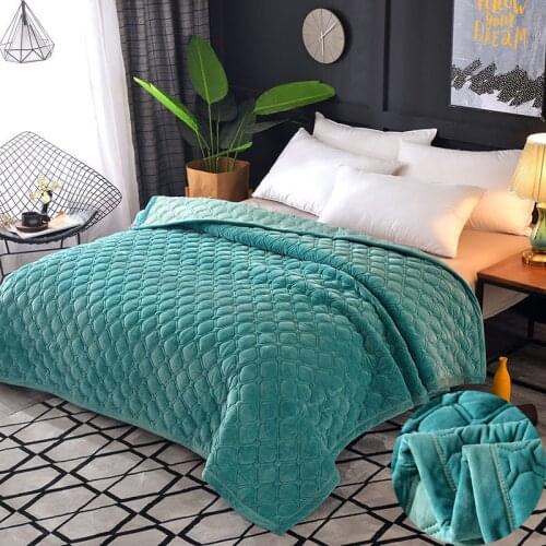 Soft Warm Coral Fleece Blanket Winter Sheet Bedspread Sofa Throw 230cm 6 Size Light Thin Mechanical Wash Crystal Fleece Blankets