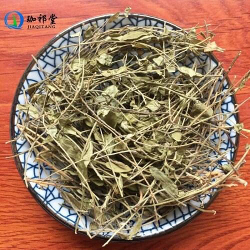 Japanese Milkwort Herb Polygala Japonic Houtt. GuaZiJin